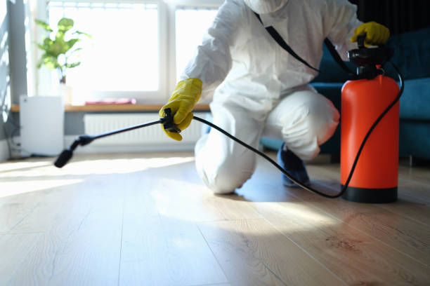 Reliable Biohazard contractor in Frazier Park, CA by Trauma Clean Pros